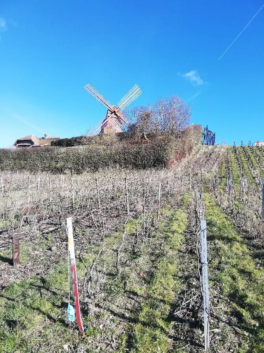 Hôtels à proximité de : Le Moulin de Verzenay
