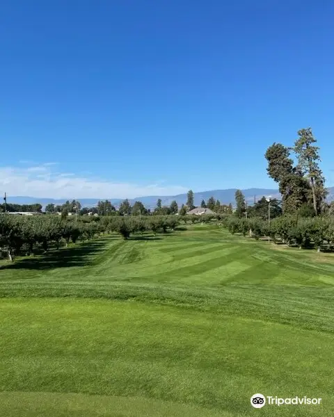 Kelowna Golf Course - Orchard Greens Golf Club