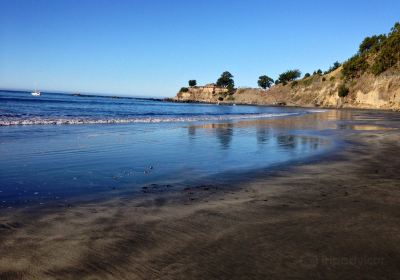 Black Sands Beach