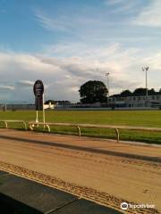 Drumbo Park Greyhound Stadium