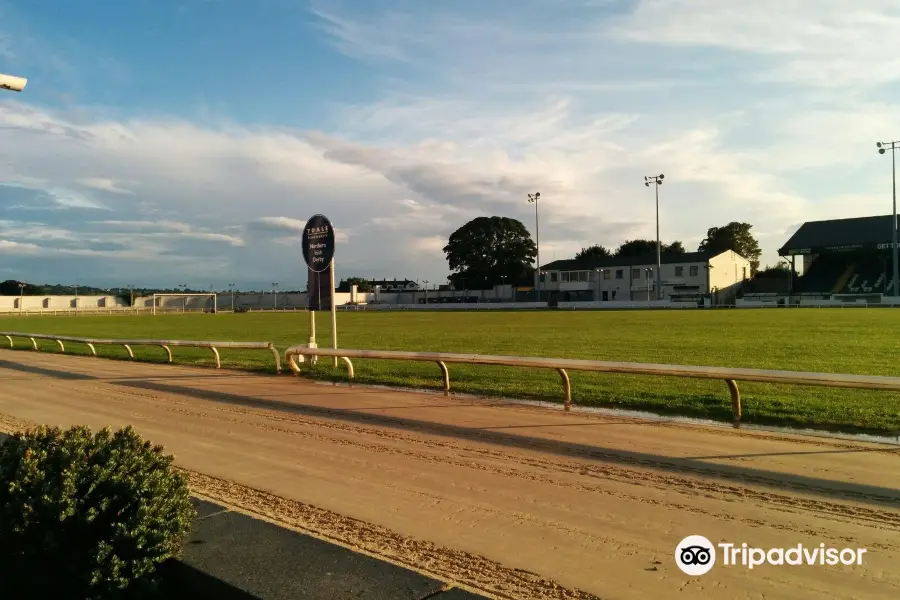 Drumbo Park Greyhound Stadium