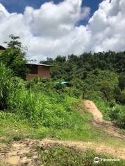 Chiang Mai Elephant Sanctuary