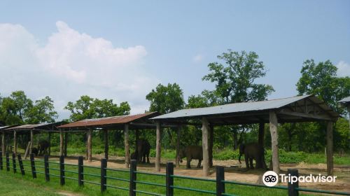 Elephant Breeding Center