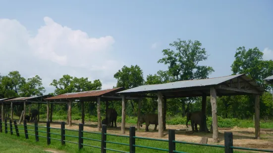 Elephant Breeding Center