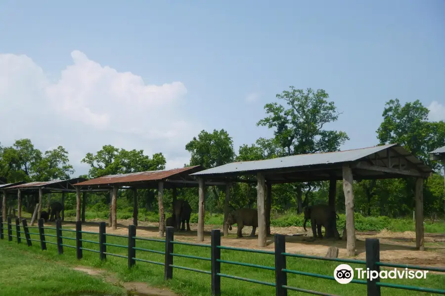 Elephant Breeding Center