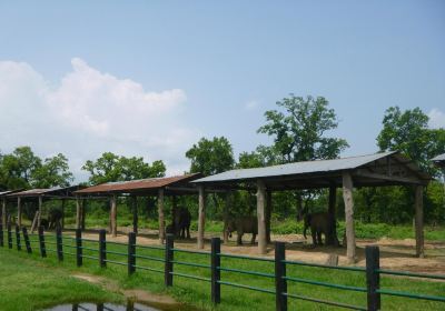 Elephant Breeding Centre
