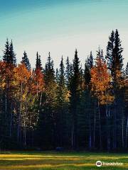 Athabasca River Front Park