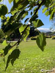 Woodend Children's Park