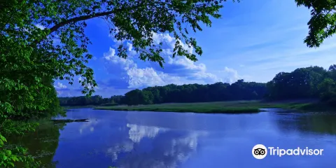 Old Woman Creek State Nature Preserve