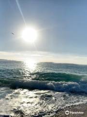 Carmel River State Beach