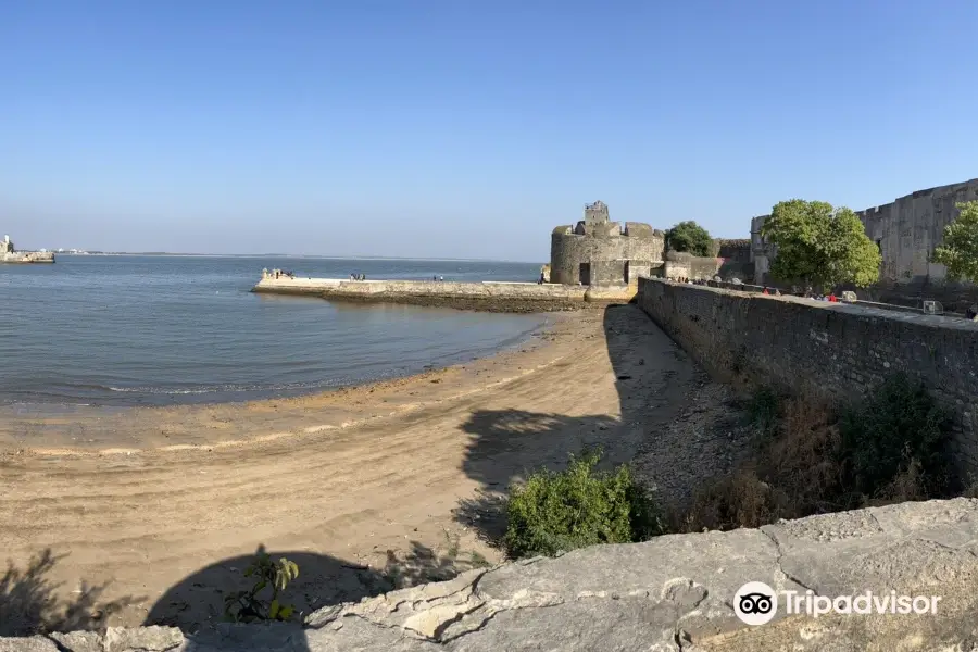 Diu Fort