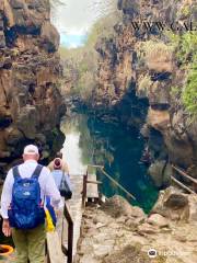 Galapagos Center Expeditions