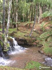 Parque Histórico Iguassu