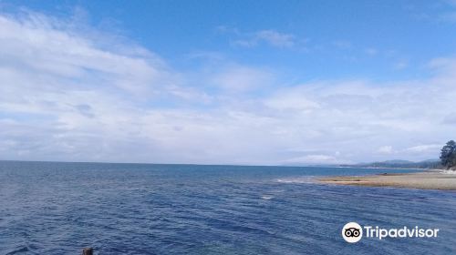 Roberts Creek Pier