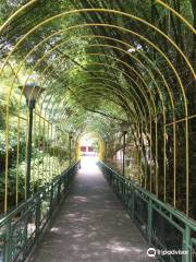 Jardin Botanico Eloy Valenzuela