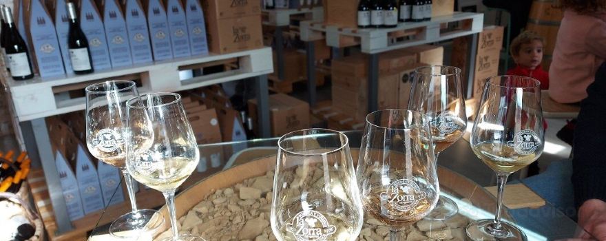 Bodega Vinos La Zorra