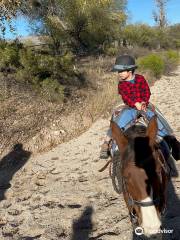 Rocking K Ranch Stables