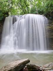 Hayden Falls Park