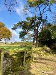 Hill of Uisneach