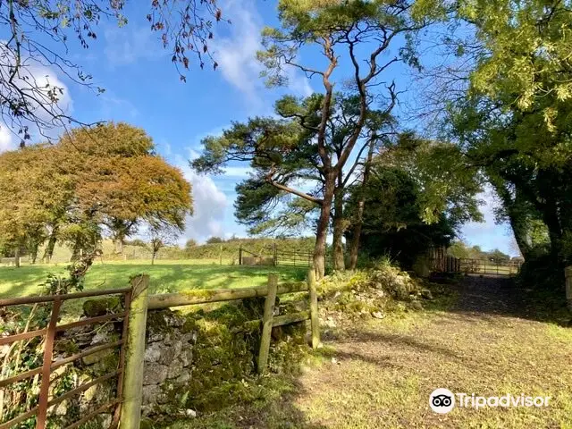 Hill of Uisneach