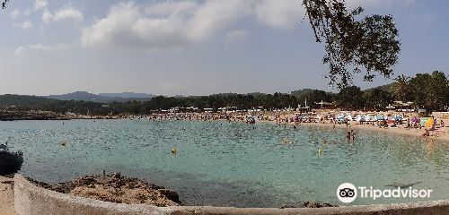 Cala Bassa