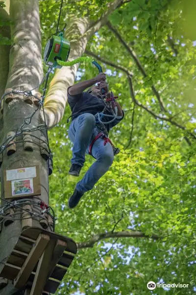 Arb'aventure - Parc accrobranche et lancer de hache