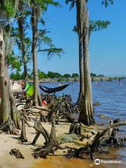 Fontainebleau State Park