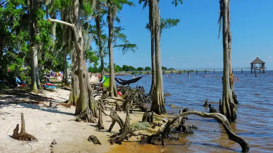 Fontainebleau State Park