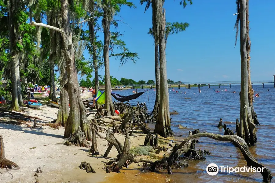 Fontainebleau State Park