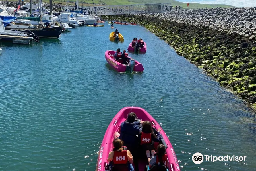 Dingle Boat Tours