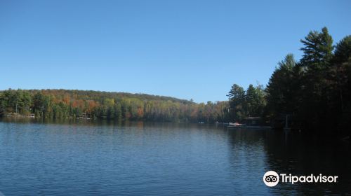 Lake of Bays Boat Tours