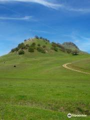 Sutter Buttes