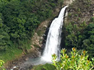 Los Saltos Ecoparque