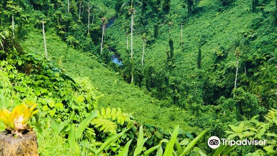 Fuipisia Waterfall