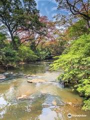 Osun-Osogbo Sacred Grove