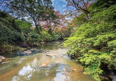 오쇼그보