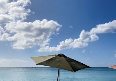 Sandy Lane Beach