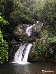 Arangachi Falls