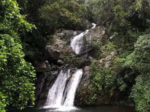 Arangachi Falls