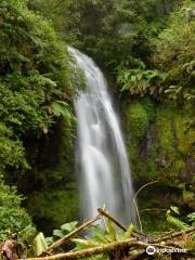 Amber Mountain National Park