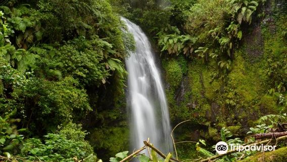 Amber Mountain National Park