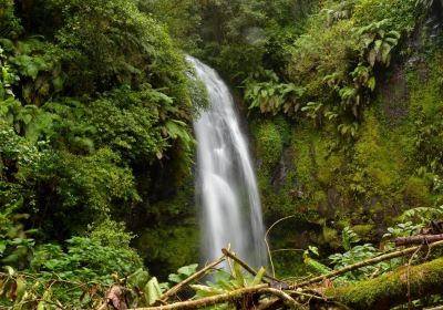 Amber Mountain National Park