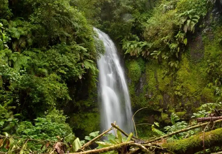 Antsiranana Rural