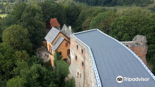 Grodno Castle