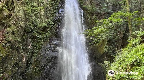 川苔山