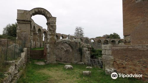 Area Archeologica di Ferento