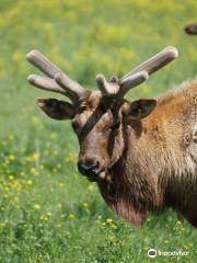 Wildlife Prairie Park