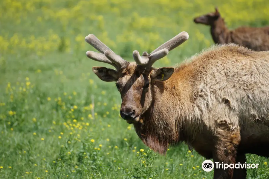 Wildlife Prairie Park