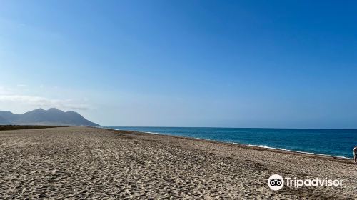 Playa San Miguel