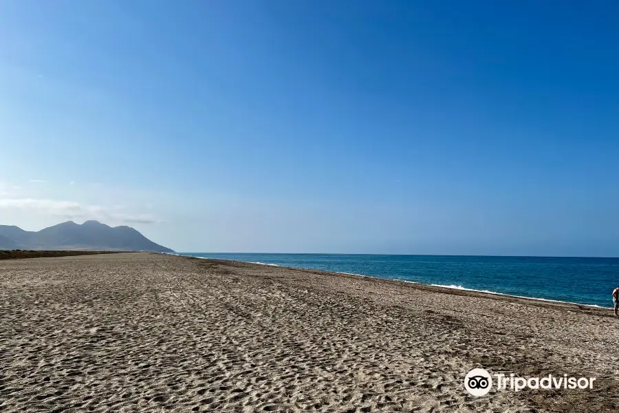Playa San Miguel